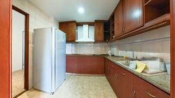 Dover Parkview (D5), Condominium #462872991